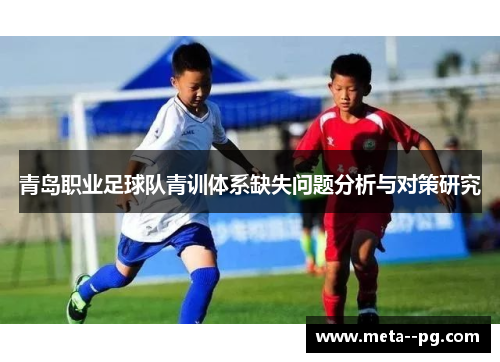 青岛职业足球队青训体系缺失问题分析与对策研究